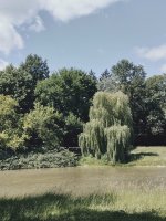 FILENAME_1719514919839.jpg