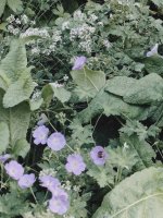 FILENAME_1720808261881.jpg