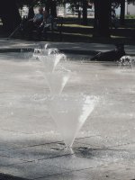 FILENAME_1720808340694.jpg