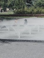 FILENAME_1720807788291.jpg