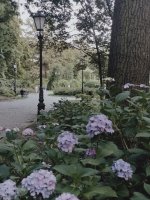 FILENAME_1720998790969.jpg