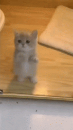 a4624d5a0839a2817eaabd1dec2c518c.gif