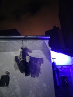 FILENAME_1730573205636.jpg
