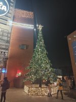 IMG_20241208_194243.jpg