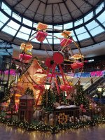 IMG_20241220_095156.jpg
