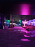 IMG_20241230_193103.jpg